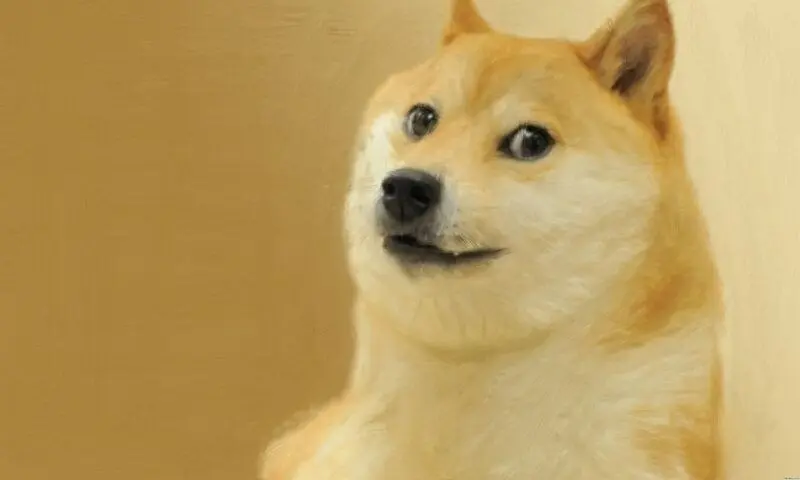 Meme Shiba hài hước lan truyền chóng mặt