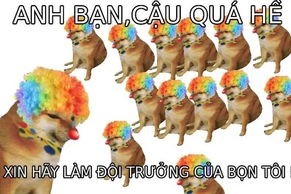 Shiba meme với các biểu cảm hài hước dễ thương