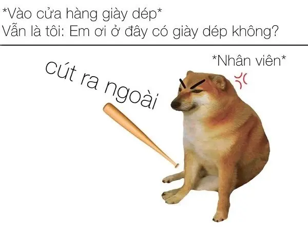 Meme Shiba khiến ai cũng muốn chia sẻ