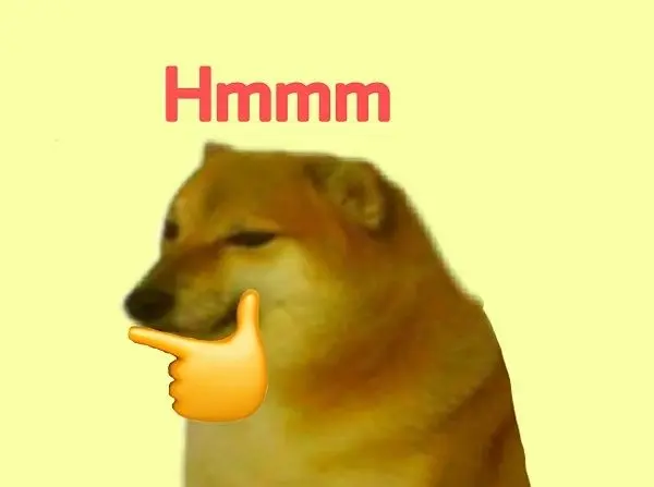 Shiba meme hmm hài hước và độc đáo 