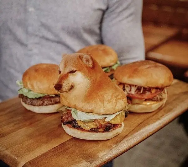 Shiba meme món ăn đáng yêu và thú vị