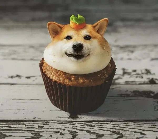 Shiba meme chậu cây hài hước và ấn tượng 