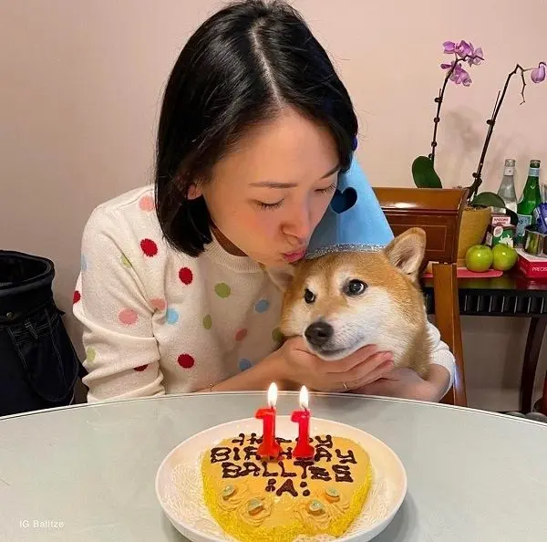 Happy birthday Shiba meme