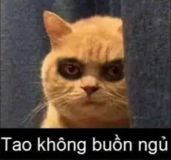 Meme mèo buồn ngủ thâm xì mắt hài hước