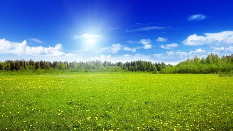 Ánh hoàng hôn nhuốm sắc vàng trên bầu trời yên tĩnh.