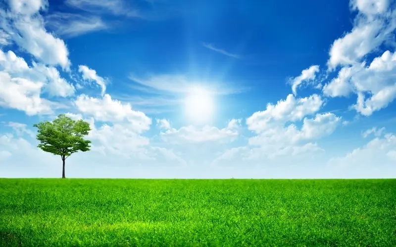 Hoàng hôn phủ sắc vàng trên phong cảnh bầu trời dịu êm.