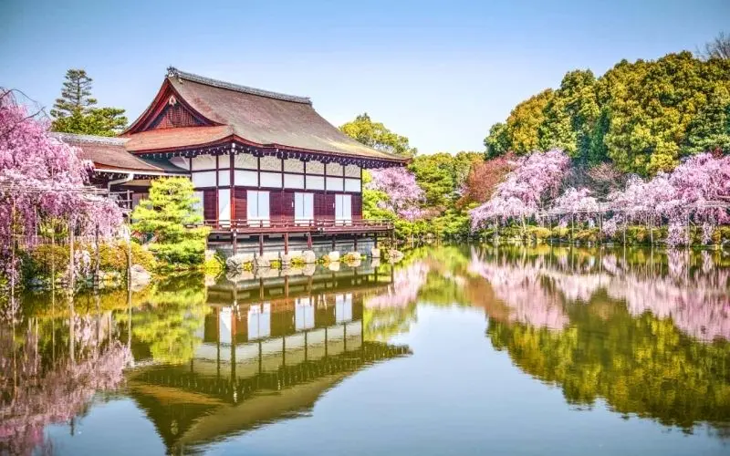 Ngắm nhìn Nhật Bản qua từng mùa, mỗi mùa một vẻ đẹp riêng.