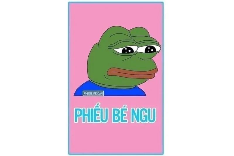 Ếch meme phiếu bé ngu hài hước và độc đáo