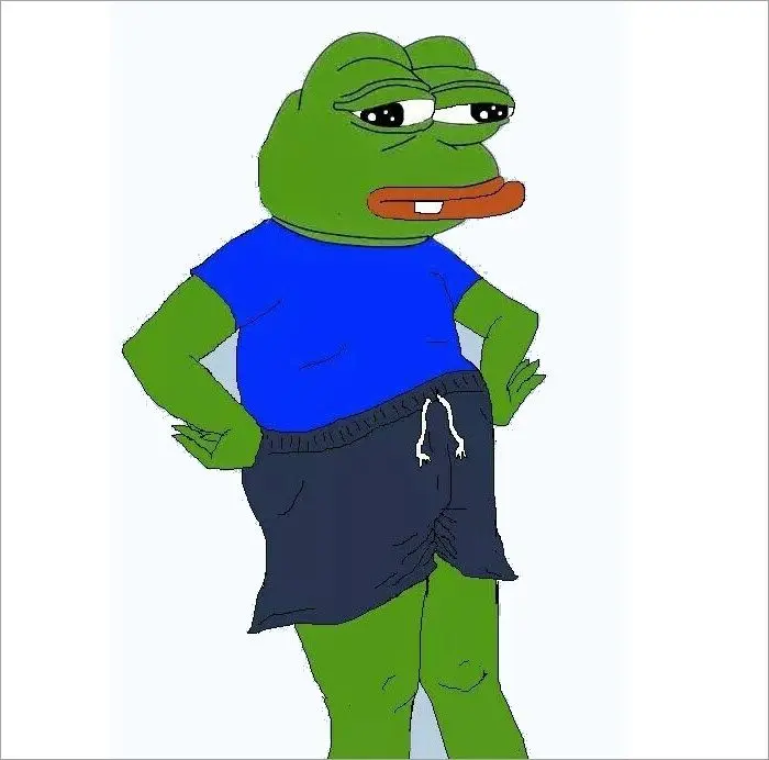 Ếch meme mang quần áo hài hước và thú vị