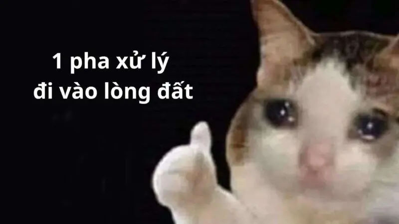 Meme mèo like mít ướt hài hước