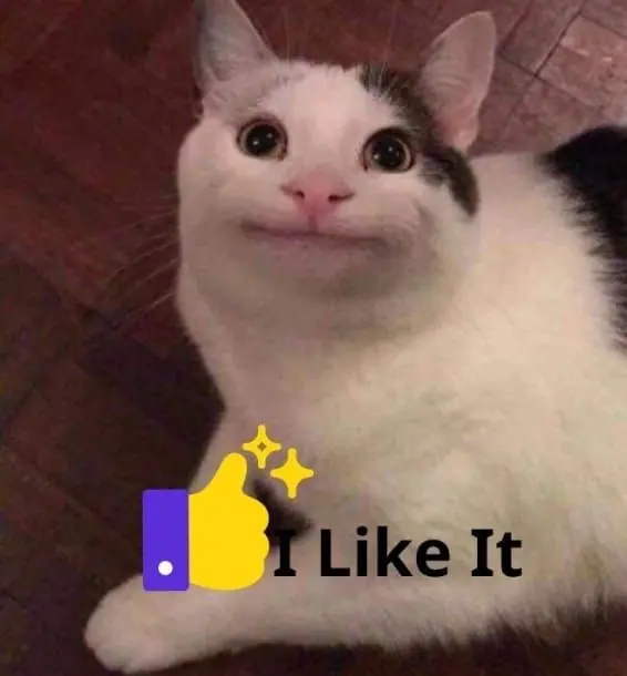 Mèo meme like it cực hài