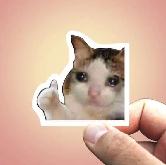 Sticker meme like mèo