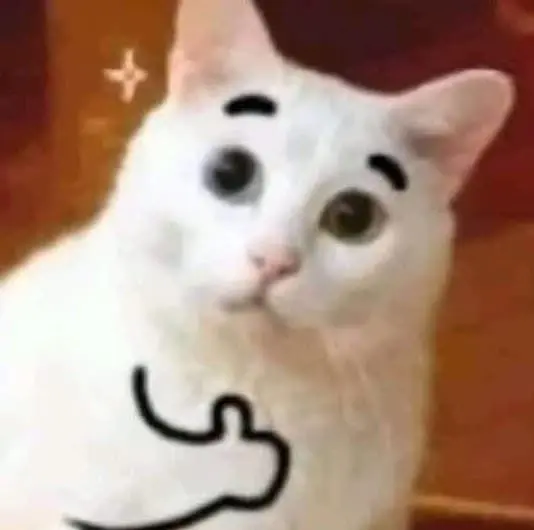 Mèo meme like với biểu cảm độc đáo