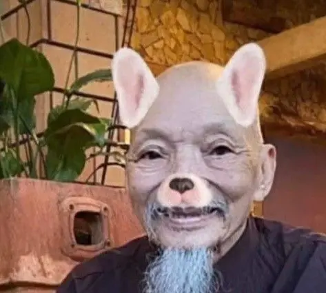 Thầy ông nội meme tai thỏ hài hước