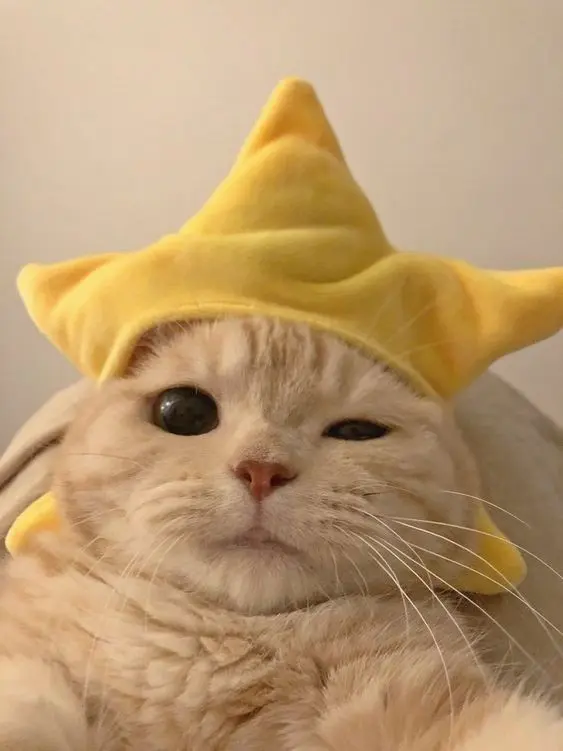 Hình ảnh avatar anime cute, ngập tràn năng lượng dễ thương. Hình ảnh avatar anime cute, ngập tràn năng lượng dễ thương.
