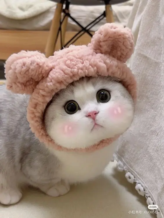 Avatar cute anime – Nơi cảm xúc và nghệ thuật hòa quyện. Avatar cute anime – Nơi cảm xúc và nghệ thuật hòa quyện.
