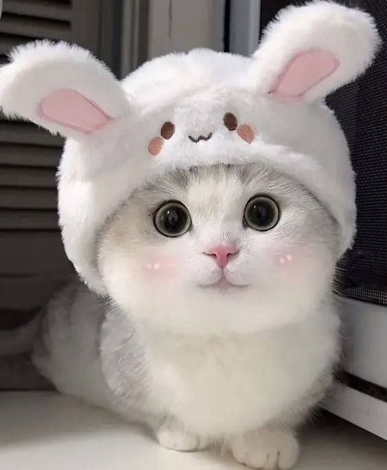 Cập nhật ngay bộ ảnh avatar anime dễ thương để nổi bật hơn! Cập nhật ngay bộ ảnh avatar anime dễ thương để nổi bật hơn!