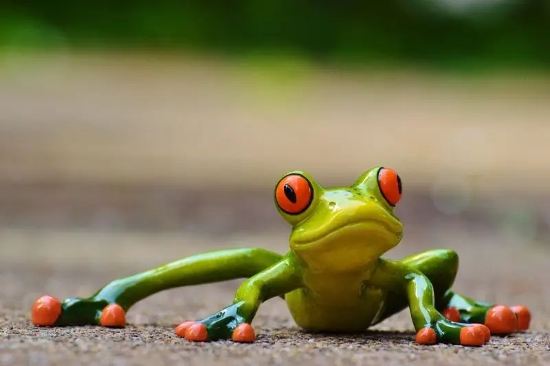 Avatar ếch cute siêu đáng yêu, làm mới trang cá nhân của bạn Avatar ếch cute siêu đáng yêu, làm mới trang cá nhân của bạn