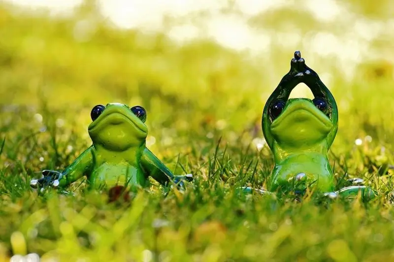 Thể hiện cá tính riêng với avatar ếch cute ngộ nghĩnh Thể hiện cá tính riêng với avatar ếch cute ngộ nghĩnh