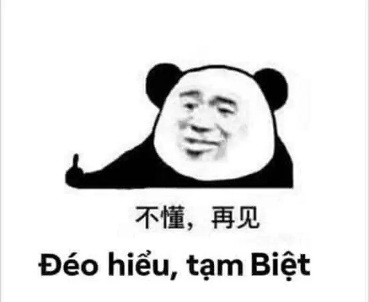 meme hài hước khiến người xem phải bật cười vì sự ngớ ngẩn