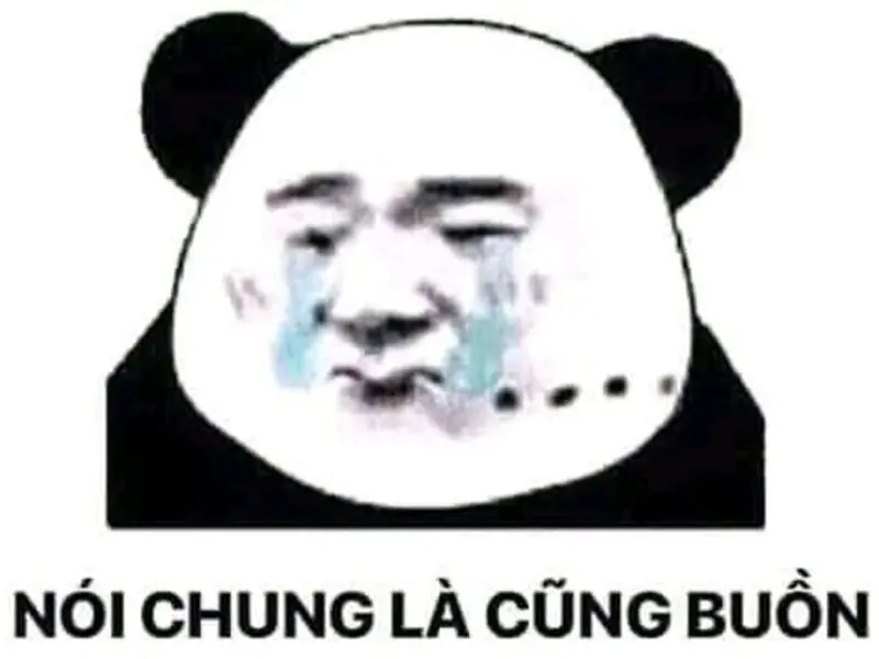 ảnh meme gấu trúc hài hước 