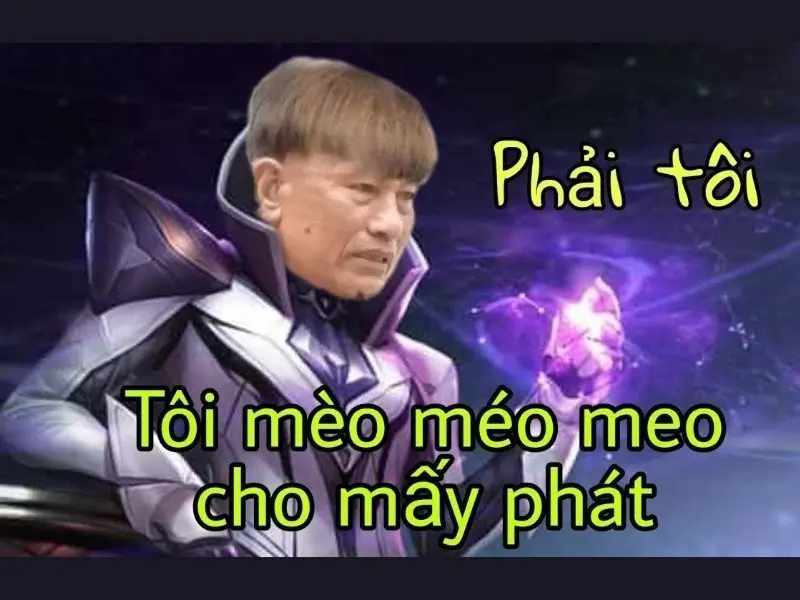 meme hài hước khiến người xem không nhịn được cười