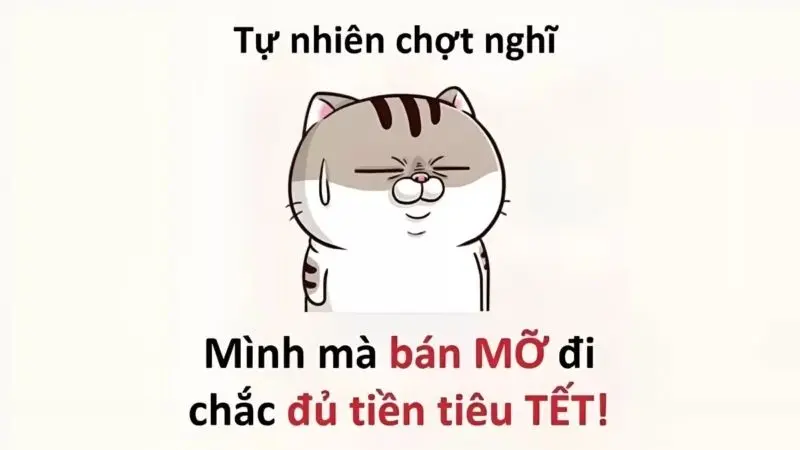 Meme mèo tết đón chào năm mới