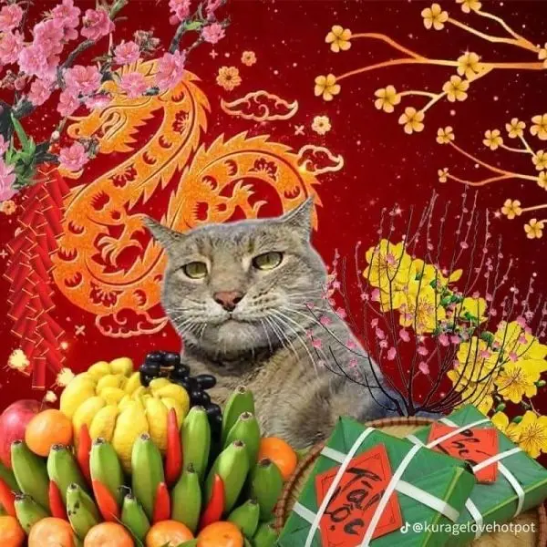 Meme mèo tết tạo niềm vui cho mùa lễ hội