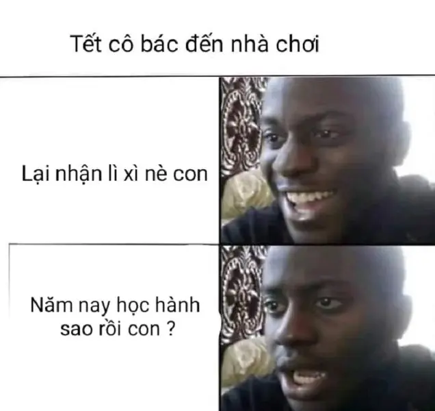 Meme mèo tết với những biểu cảm hài hước