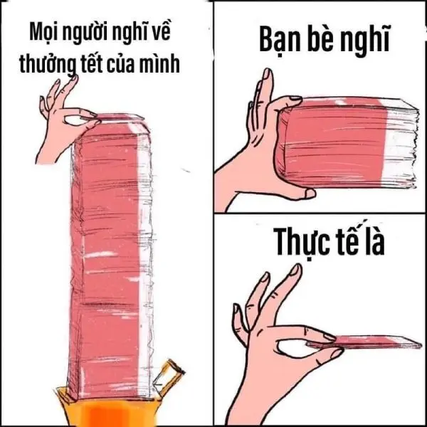 Meme mèo tết mang lại niềm vui đầu năm