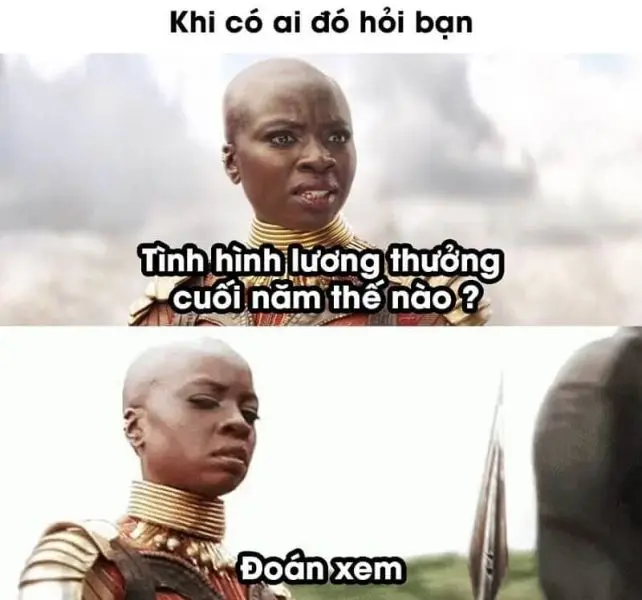 Meme mèo tết mang niềm vui đến ngày xuân