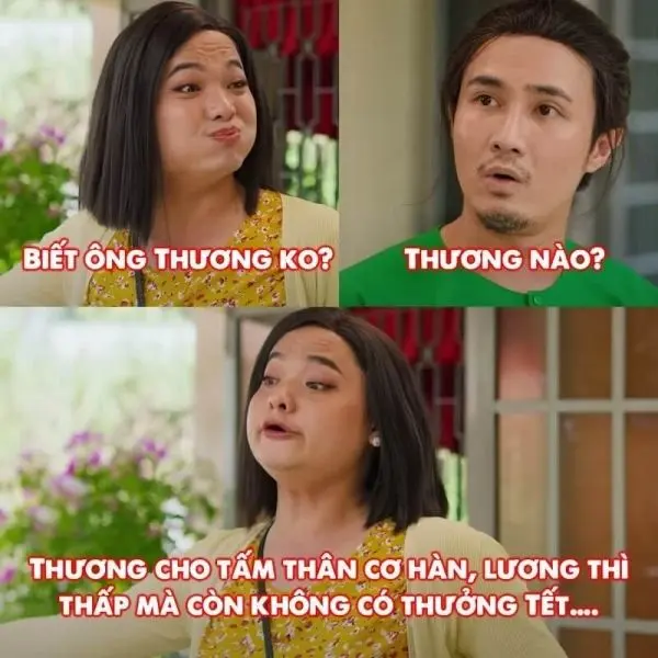 Meme mèo tết lan truyền tiếng cười