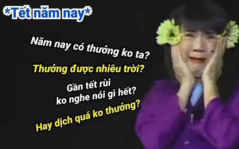 Meme mèo tết với những câu chúc thú vị