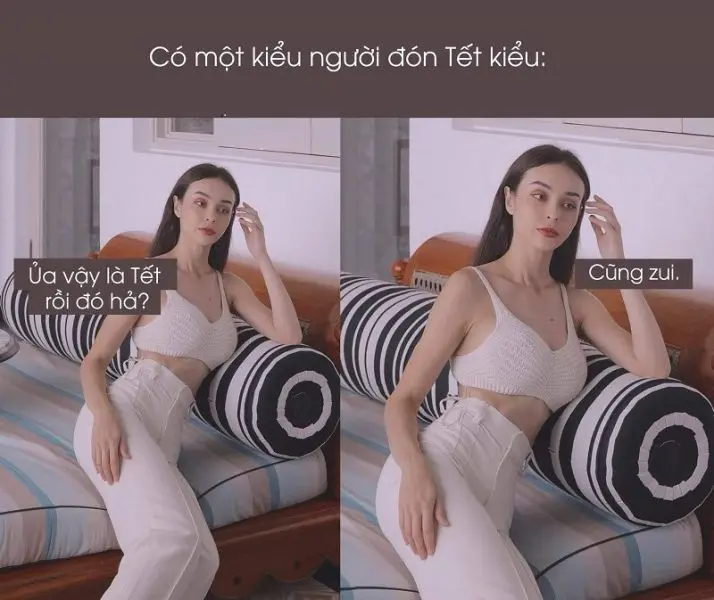 Meme mèo tết với hình ảnh đáng yêu