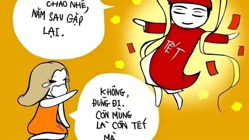 Meme mèo tết với các biểu cảm hài hước