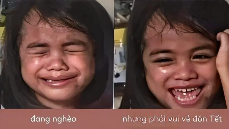 Meme mèo tết mang lại tiếng cười đầu năm