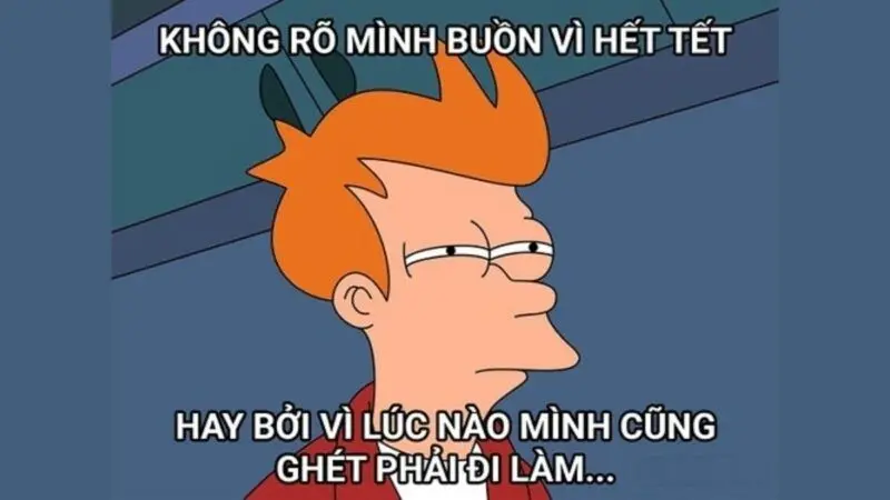 Meme mèo tết vui nhộn cho mùa lễ hội thêm phần đặc biệt