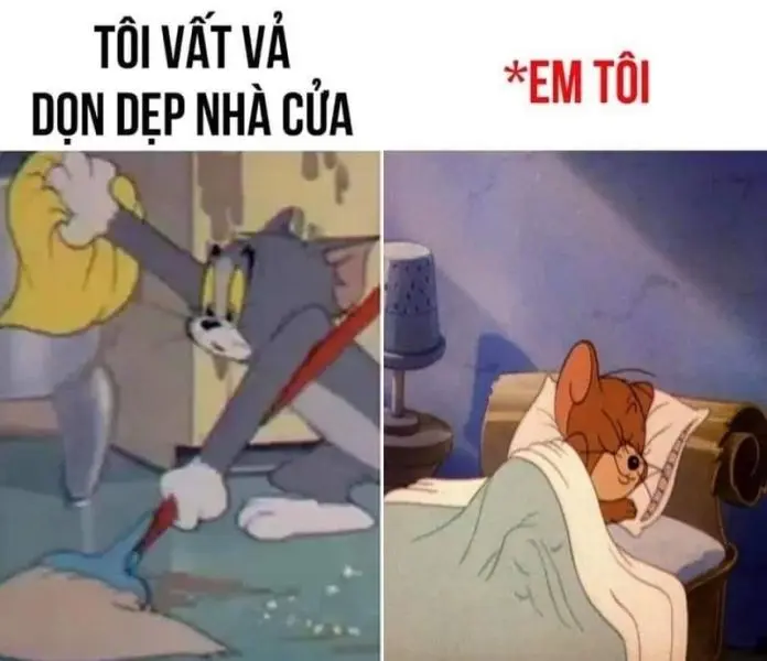 Meme mèo tết mang niềm vui đến mọi nhà