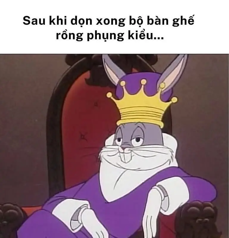 Meme mèo tết với những biểu cảm hài hước