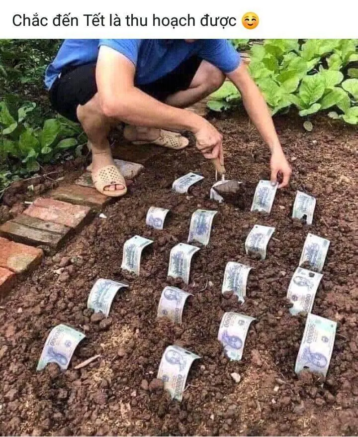 Meme tiền tạo cảm giác vui vẻ