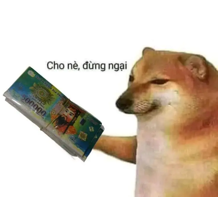 Meme tiền với nét mặt ngộ nghĩnh