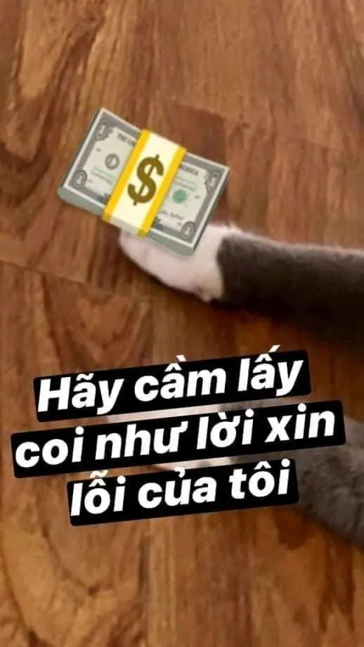 Meme tiền với gương mặt hài hước khó quên