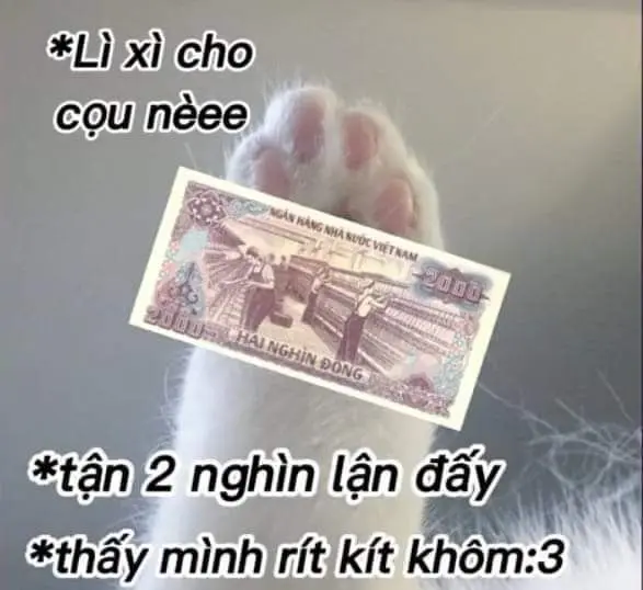 Meme tiền truyền động lực tích cực