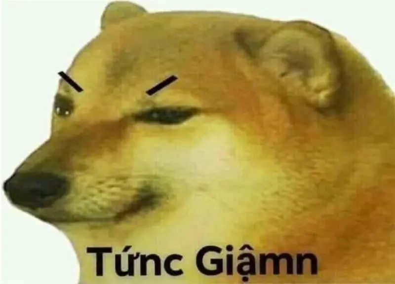 Meme tức giận có thể xoa dịu cơn giận qua tiếng cười sảng khoái