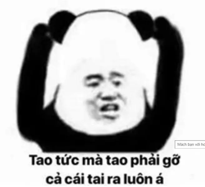 Meme tức giận là cách thể hiện cảm xúc bực tức nhưng lại rất hài hước