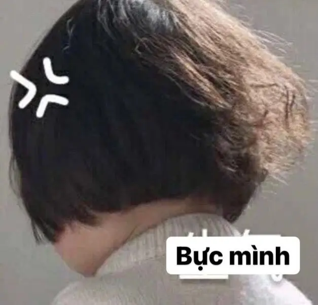 Meme tức giận phản ánh sự bực bội nhưng cũng mang đến tiếng cười thư giãn