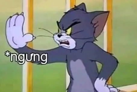 Meme tức giận giúp bạn giảm căng thẳng qua những hình ảnh dễ gây cười