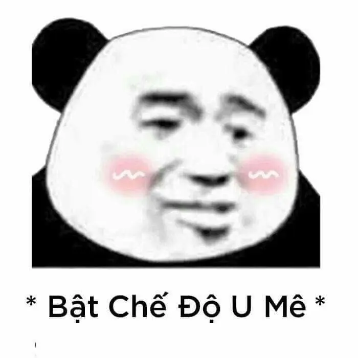 Gấu trúc meme hài hước và đáng yêu