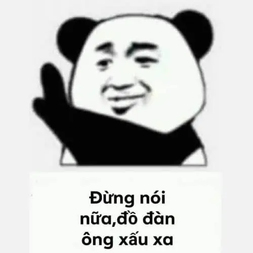 Biểu cảm độc đáo của gấu trúc meme