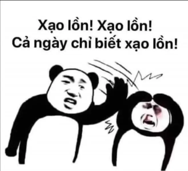 Biểu cảm gấu trúc meme đầy sáng tạo